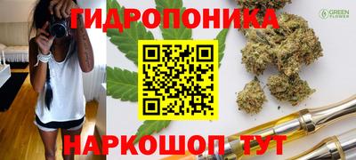 МДМА Камышлов
